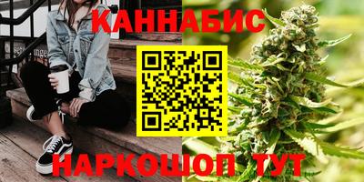 тгк Новодвинск