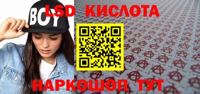 тгк Новодвинск