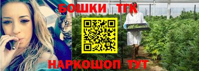 дмт Нарткала