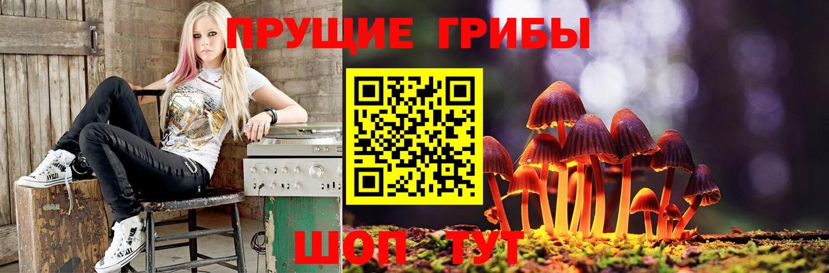 Псилоцибиновые грибы ЛСД  Вход с VPN  Тольятти 