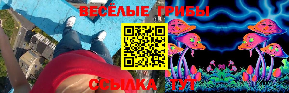 Галлюциногенные грибы Psilocybine cubensis Тольятти